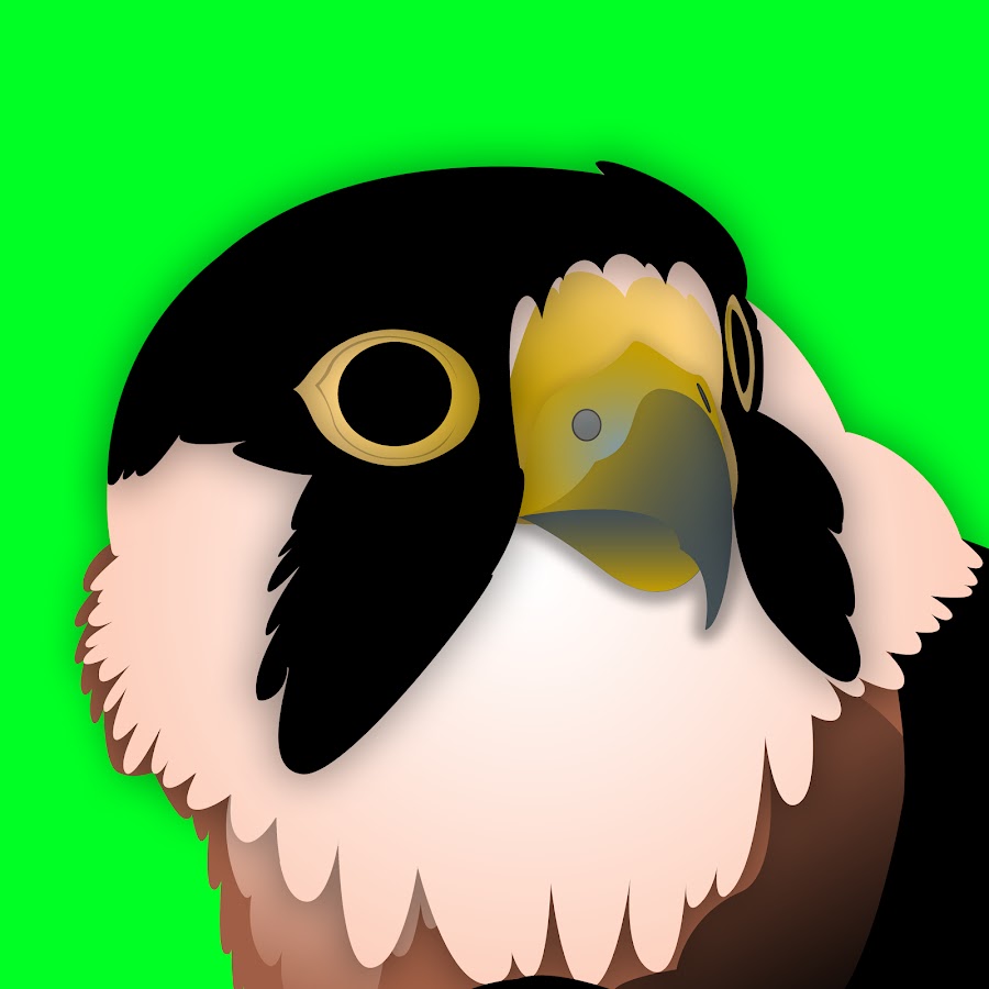 Falco Peregrinus YouTube channel avatar