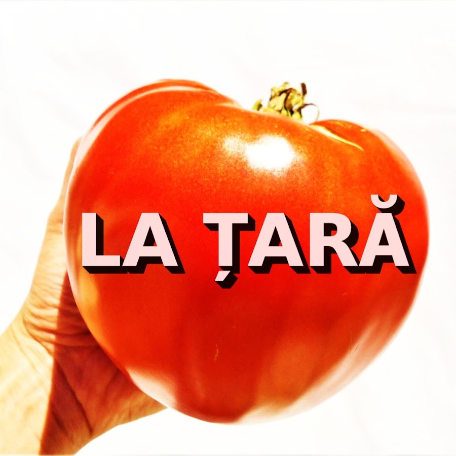 La Tara YouTube channel avatar