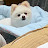 콩이네