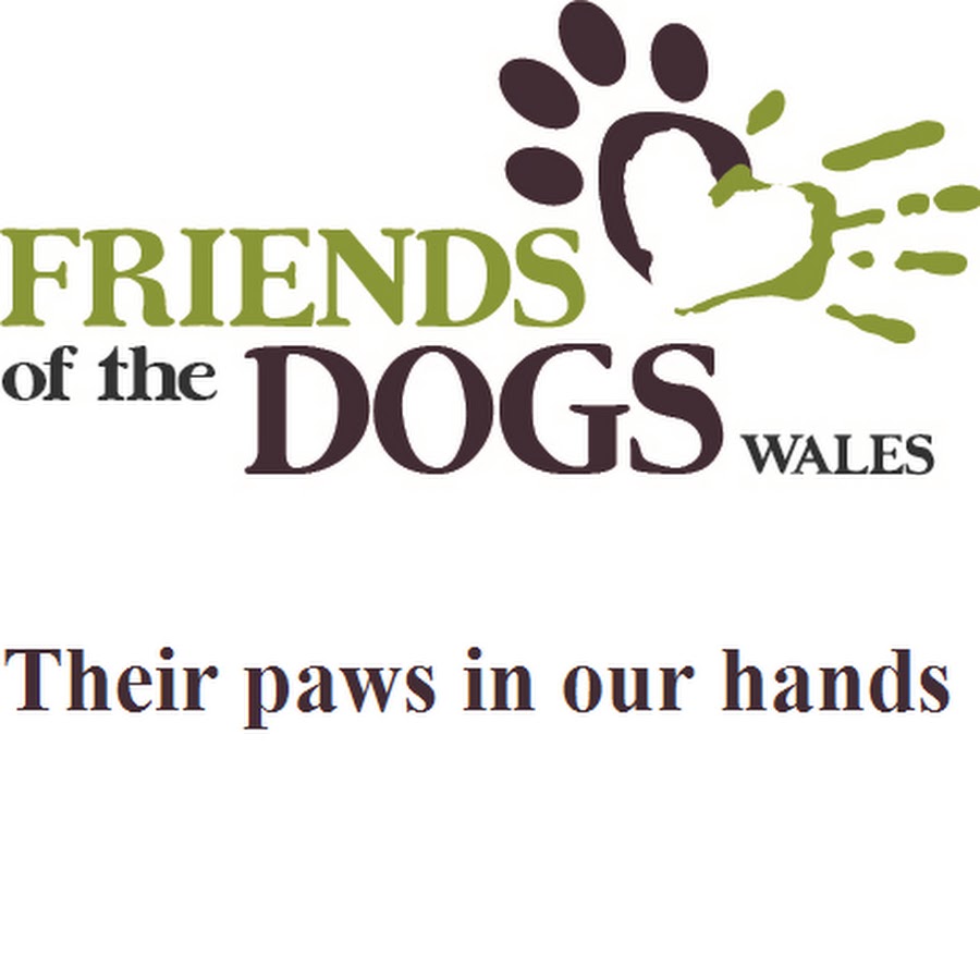 Friends of The Dogs (Wales) YouTube channel avatar