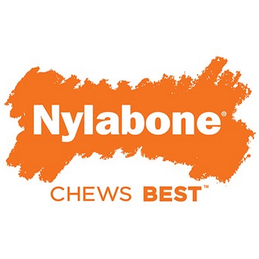 Nylabone Products - Dog