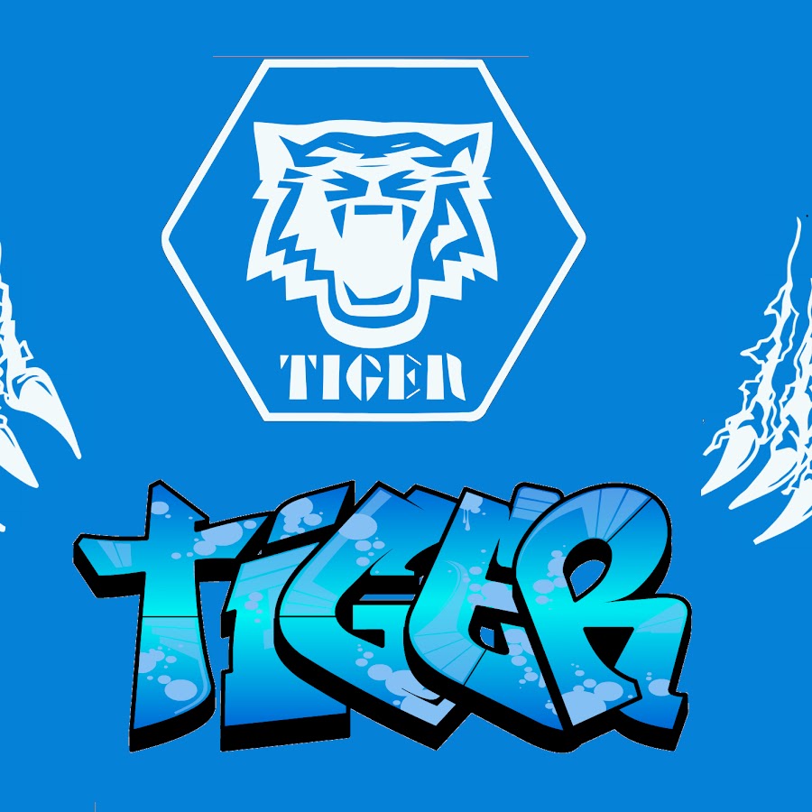 TheBeytiger YouTube channel avatar