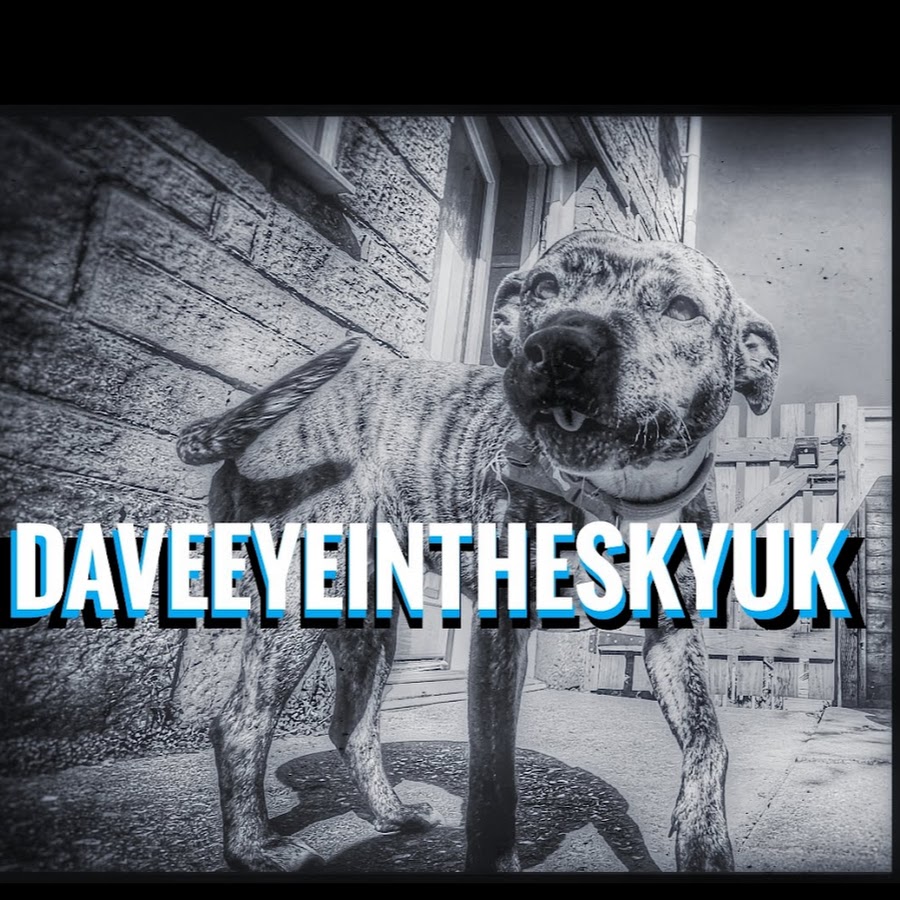 DAVEEYEINTHESKY YouTube channel avatar