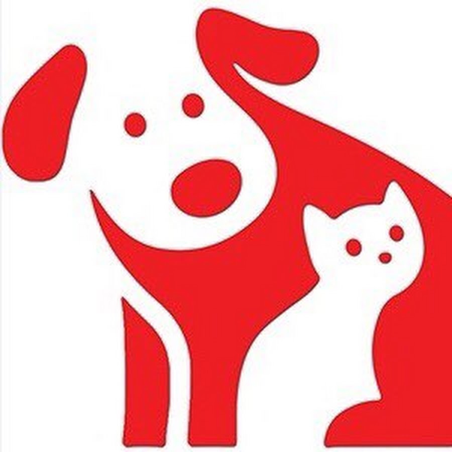 Dogs and Cats Channel رمز قناة اليوتيوب