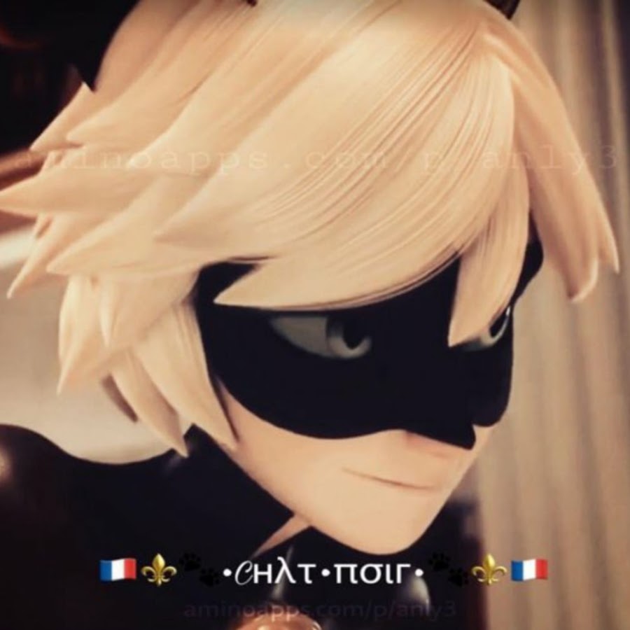 Chat  Noir YouTube channel avatar