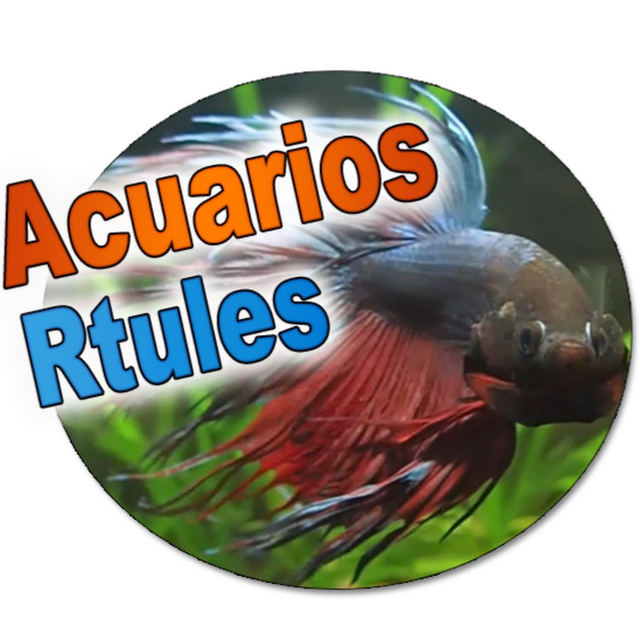 Acuarios Rtules