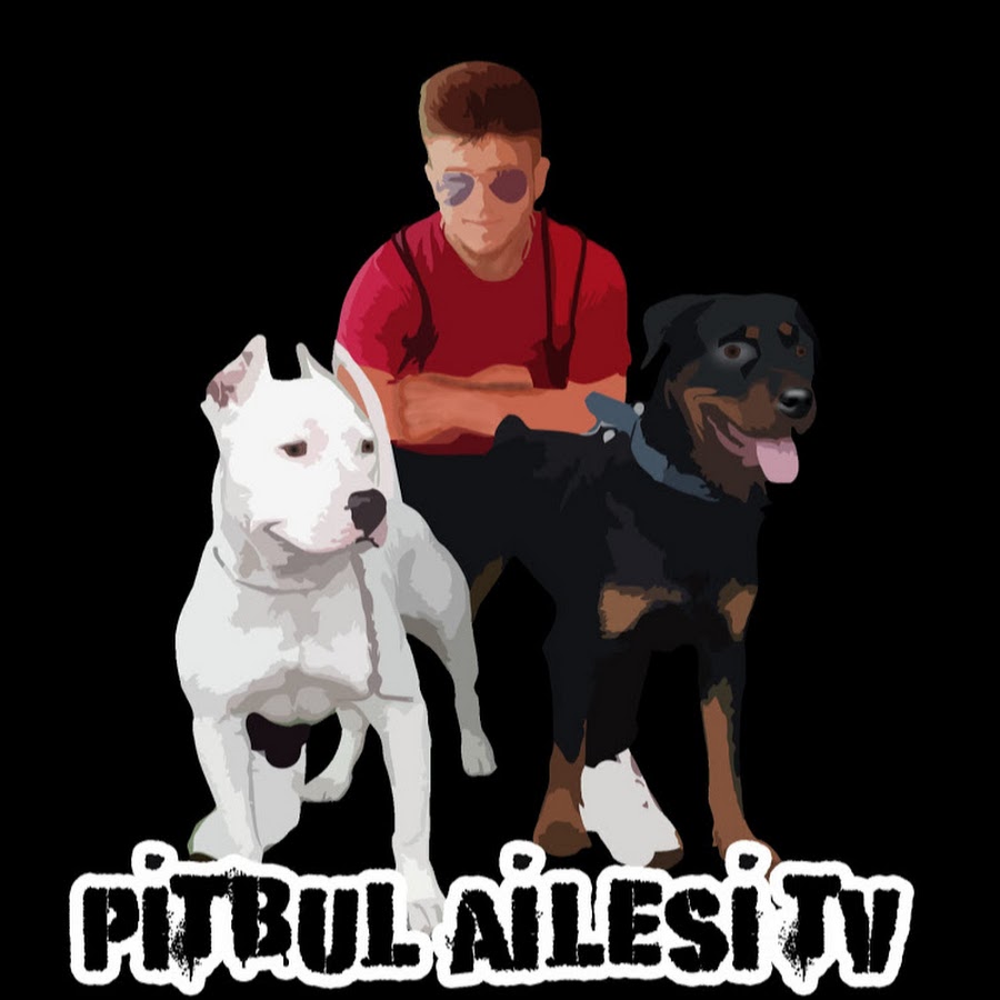 Pitbull Ailesi TV Vlog Avatar de chaîne YouTube