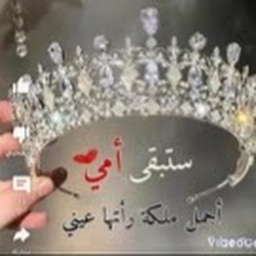 Yemen Tube YouTube 频道头像
