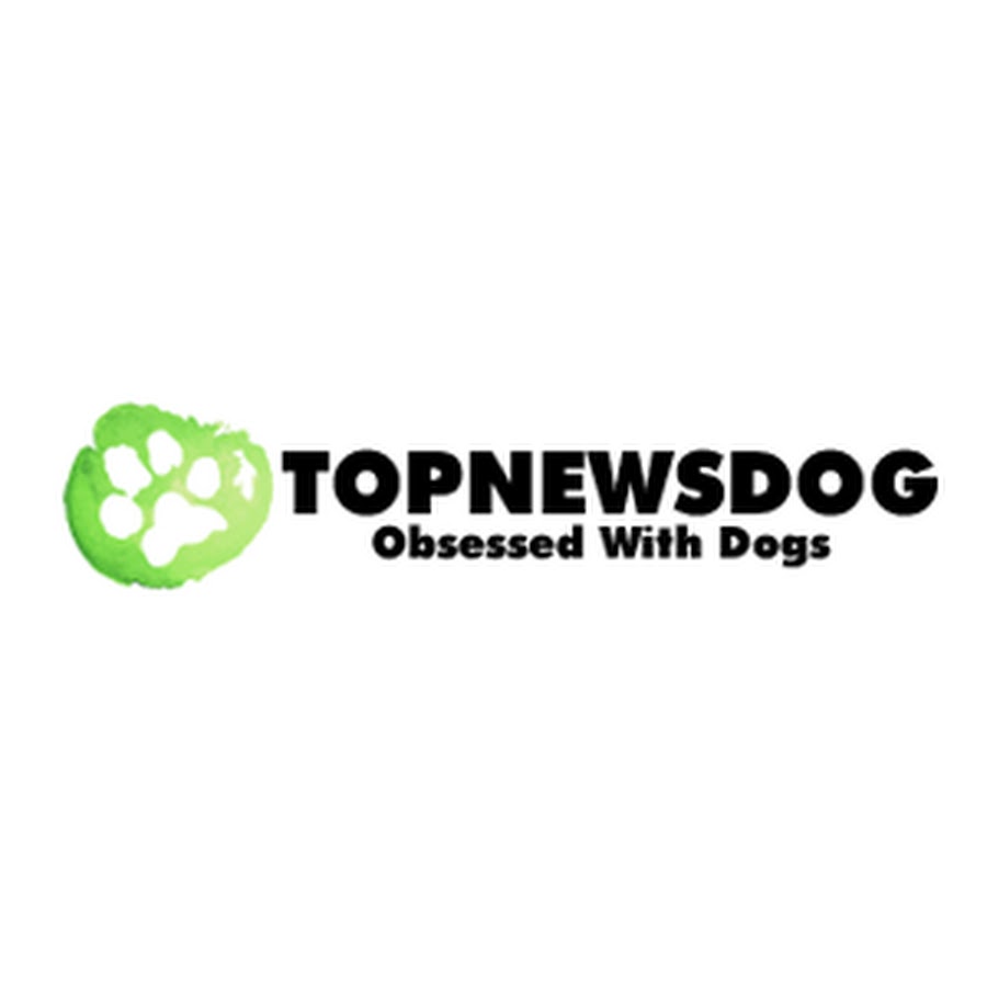Top News Dog Avatar de chaîne YouTube
