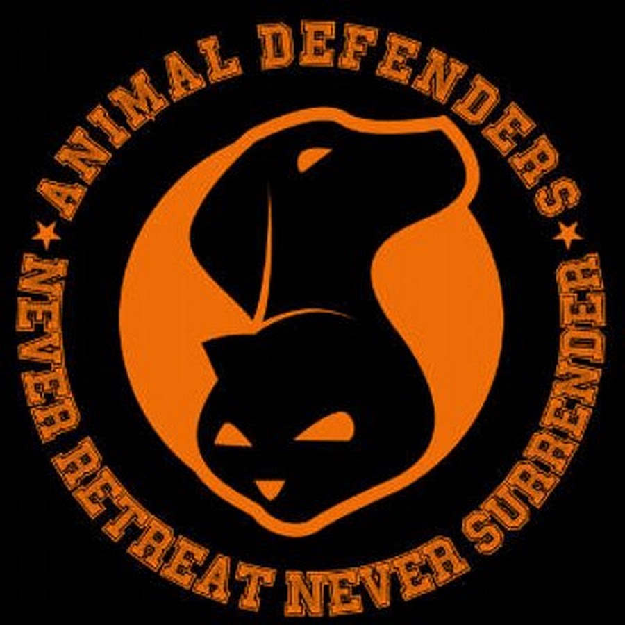 Animal Defenders Indonesia Аватар канала YouTube