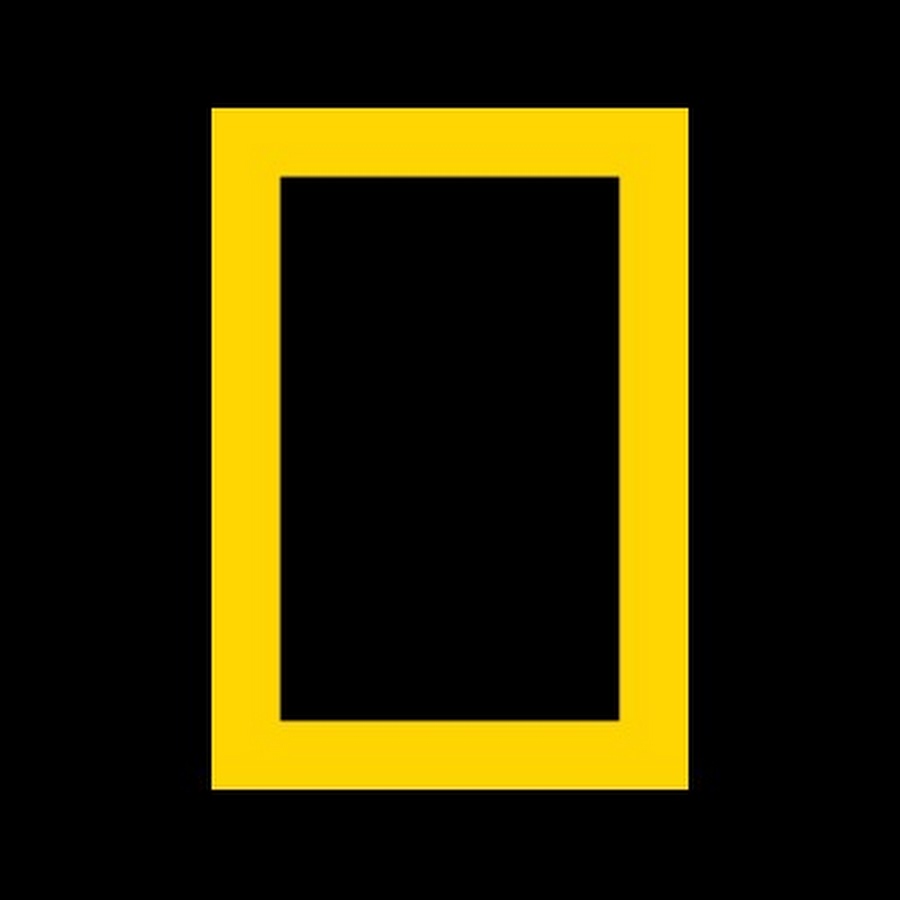 National Geographic Turkiye YouTube channel avatar