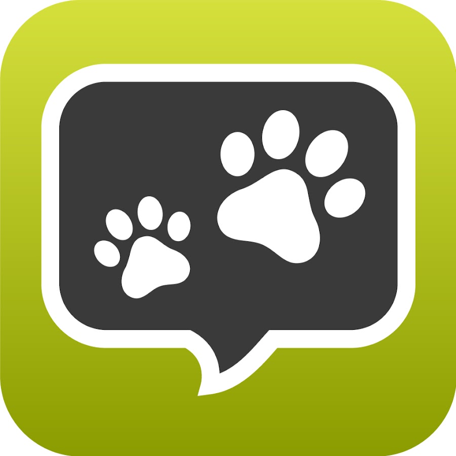 PetChatz YouTube channel avatar