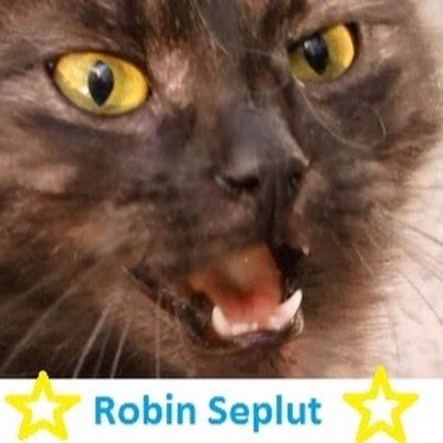 Robin Seplut Avatar del canal de YouTube