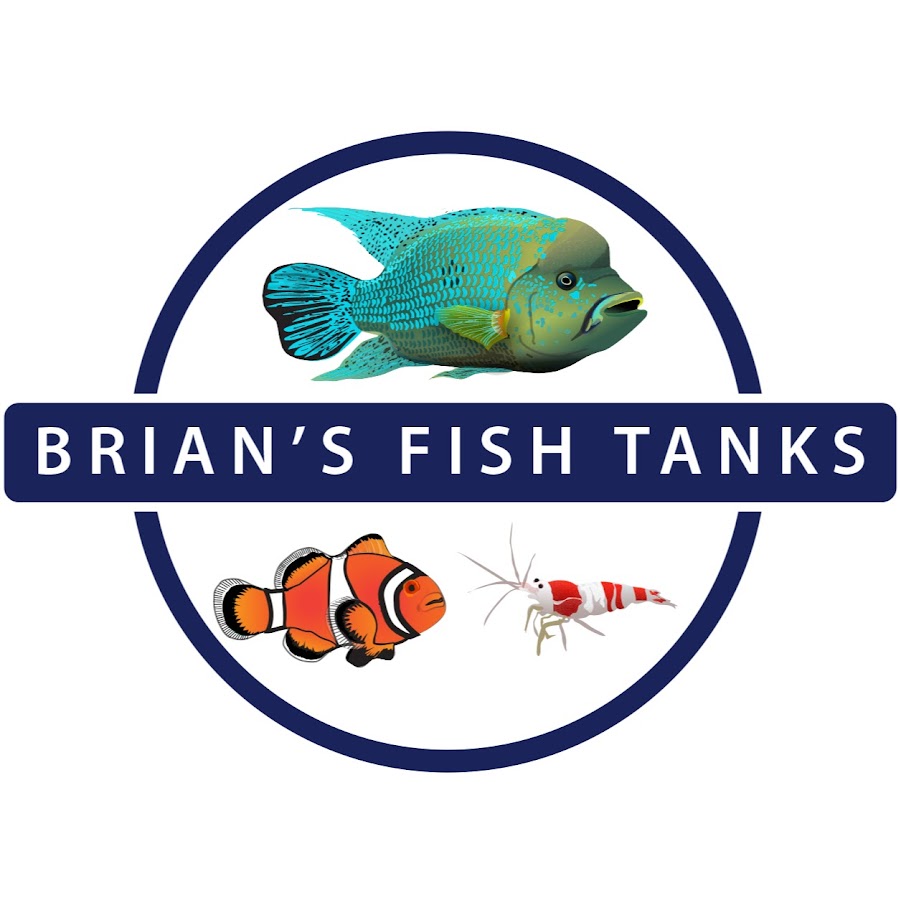 Brian's Fish Tanks