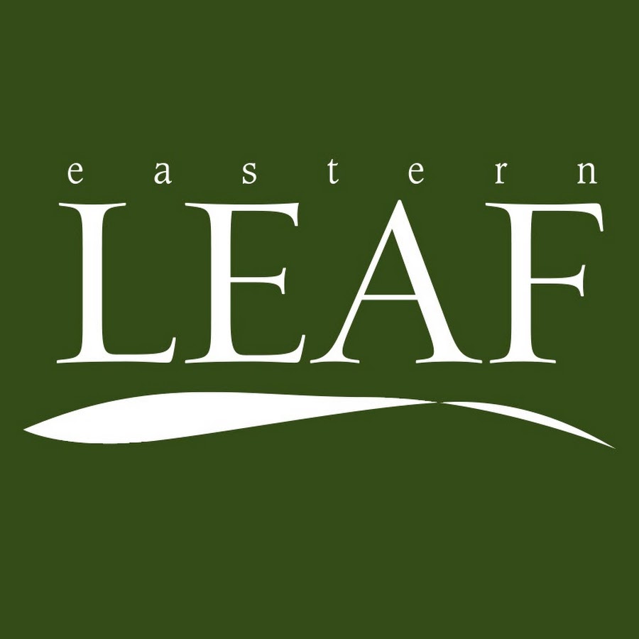 Eastern Leaf رمز قناة اليوتيوب