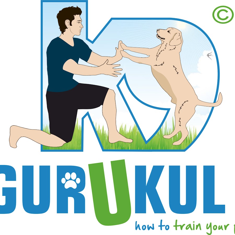 K9 Gurukul Dog Training Avatar de chaîne YouTube