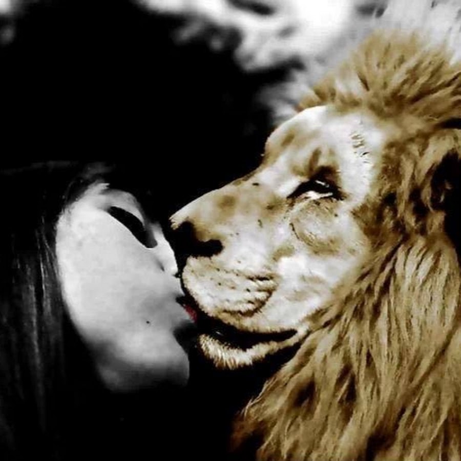 diego el leon