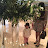 Korea Working Mom Ran
