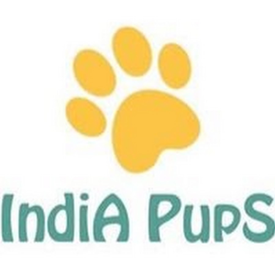 Indiapups YouTube channel avatar