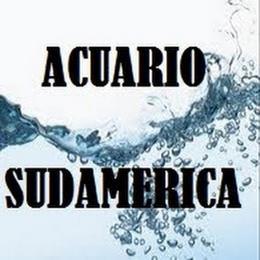 ACUARIOSUDAMERICA YouTube kanalı avatarı