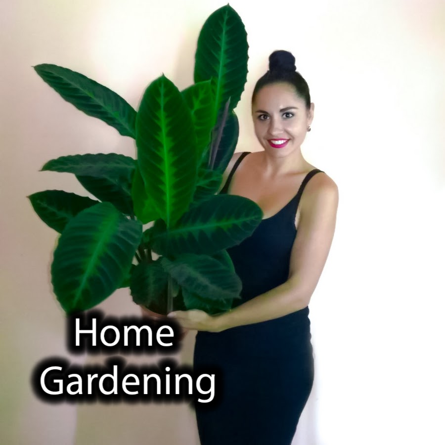 Home Gardening رمز قناة اليوتيوب