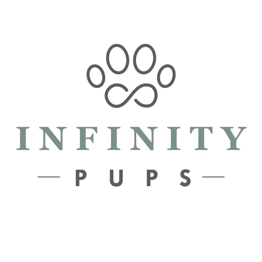 Infinity Pups YouTube channel avatar