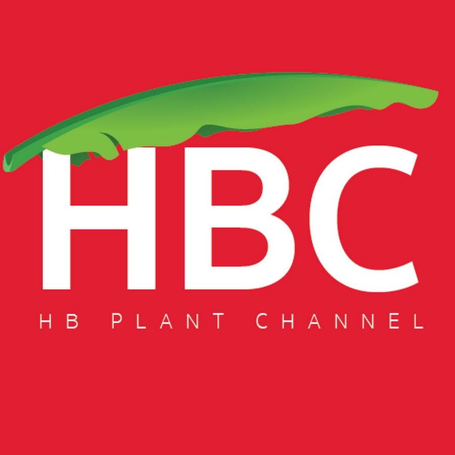 HB Plant Channel Avatar de canal de YouTube