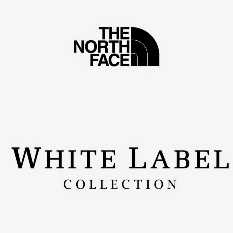 White Label Youtube Stats Channel Analytics Hypeauditor Youtube Tiktok Instagram Ai Analytics