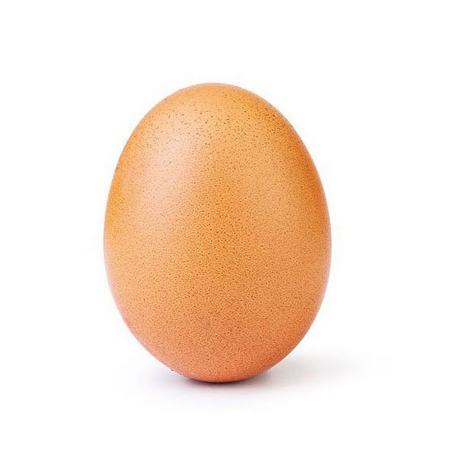 World Record Egg