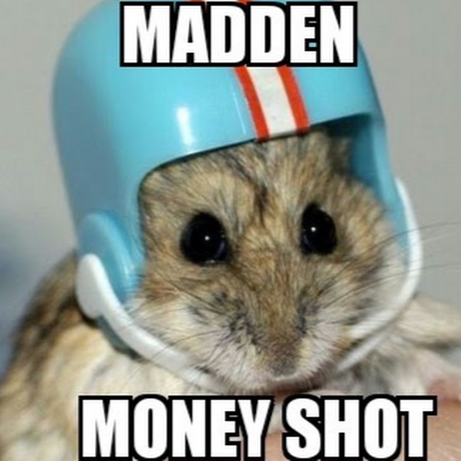 Madden Moneyshot رمز قناة اليوتيوب