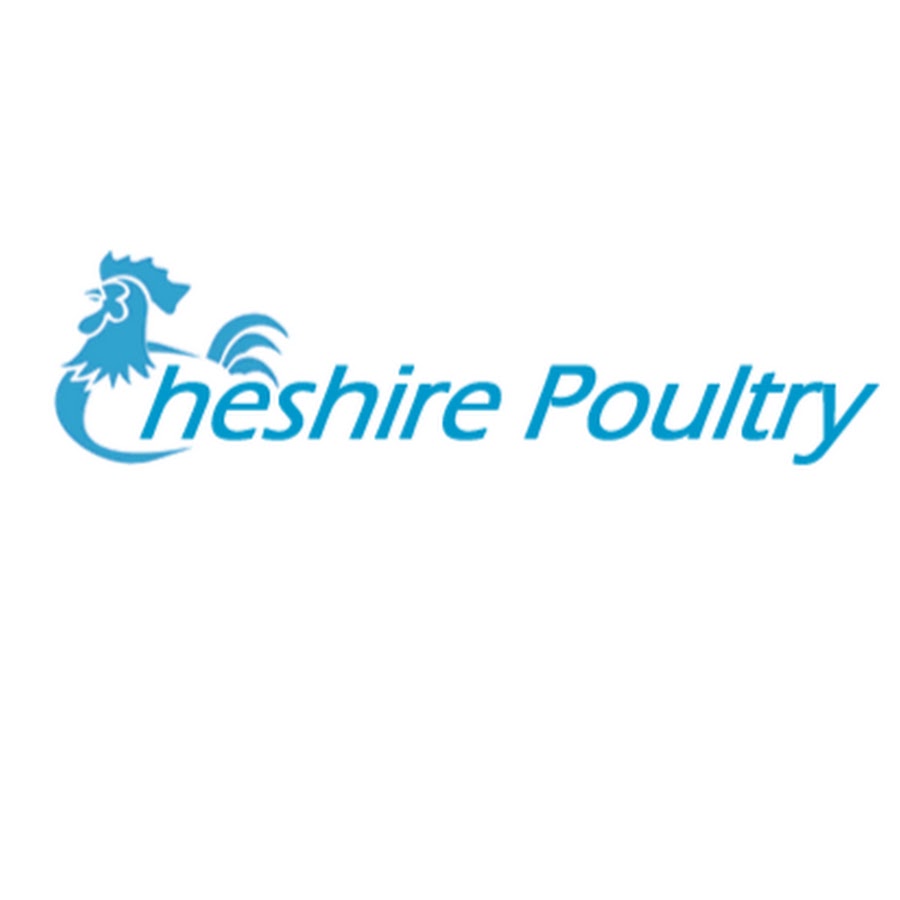 Cheshire Poultry YouTube 频道头像