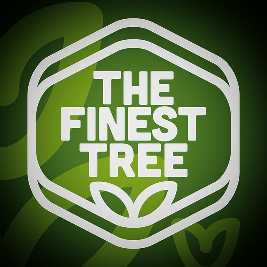 The Finest Tree YouTube channel avatar