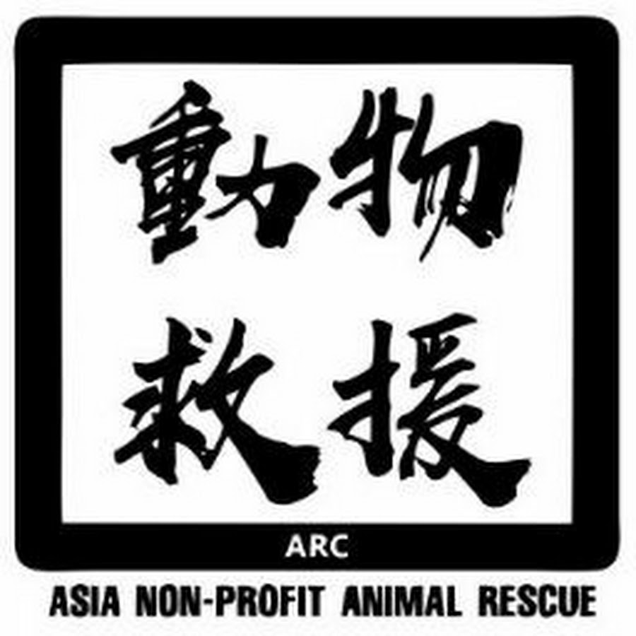 ARC ORG HK Avatar channel YouTube 