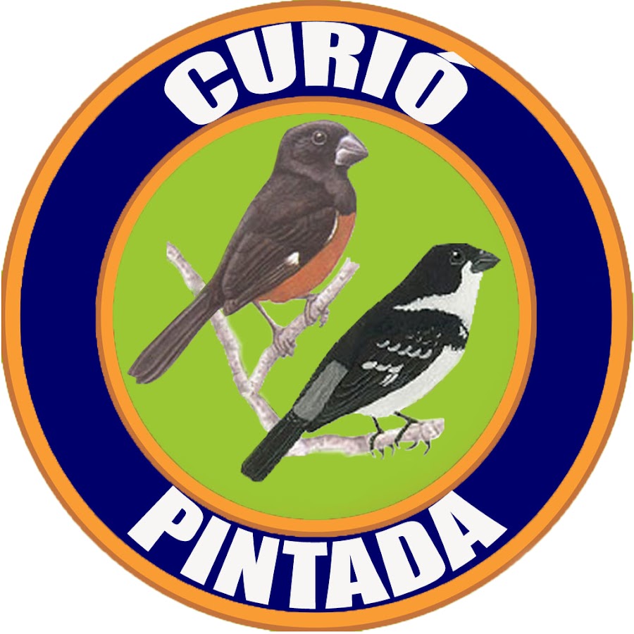 CuriÃ³ & Pintada YouTube channel avatar