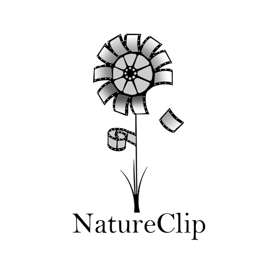 NatureClip: Free Stock Footage ইউটিউব চ্যানেল অ্যাভাটার