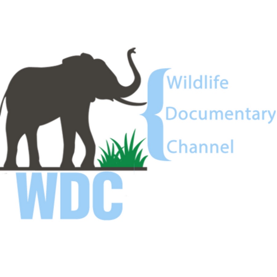 Wildlife Documentary Channel WDC YouTube-Kanal-Avatar