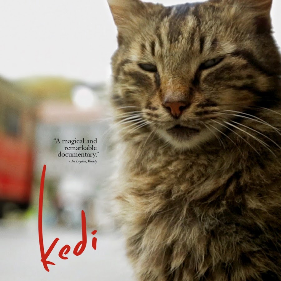 Kedi Film Avatar de canal de YouTube