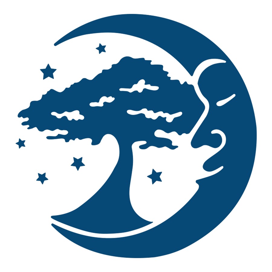 Dreaming Tree YouTube channel avatar