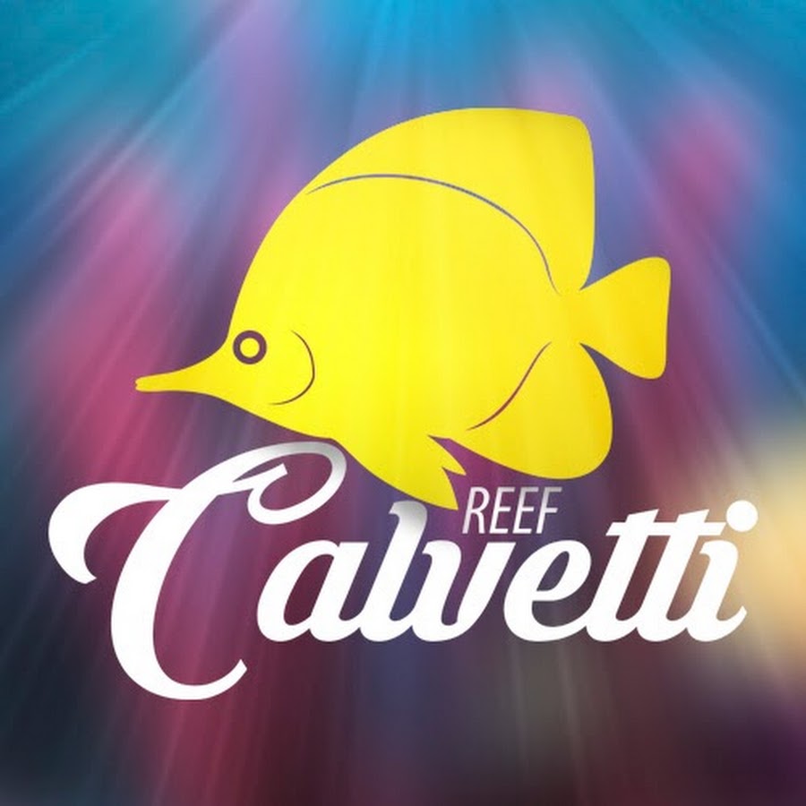 Reef Calvetti_ YouTube 频道头像