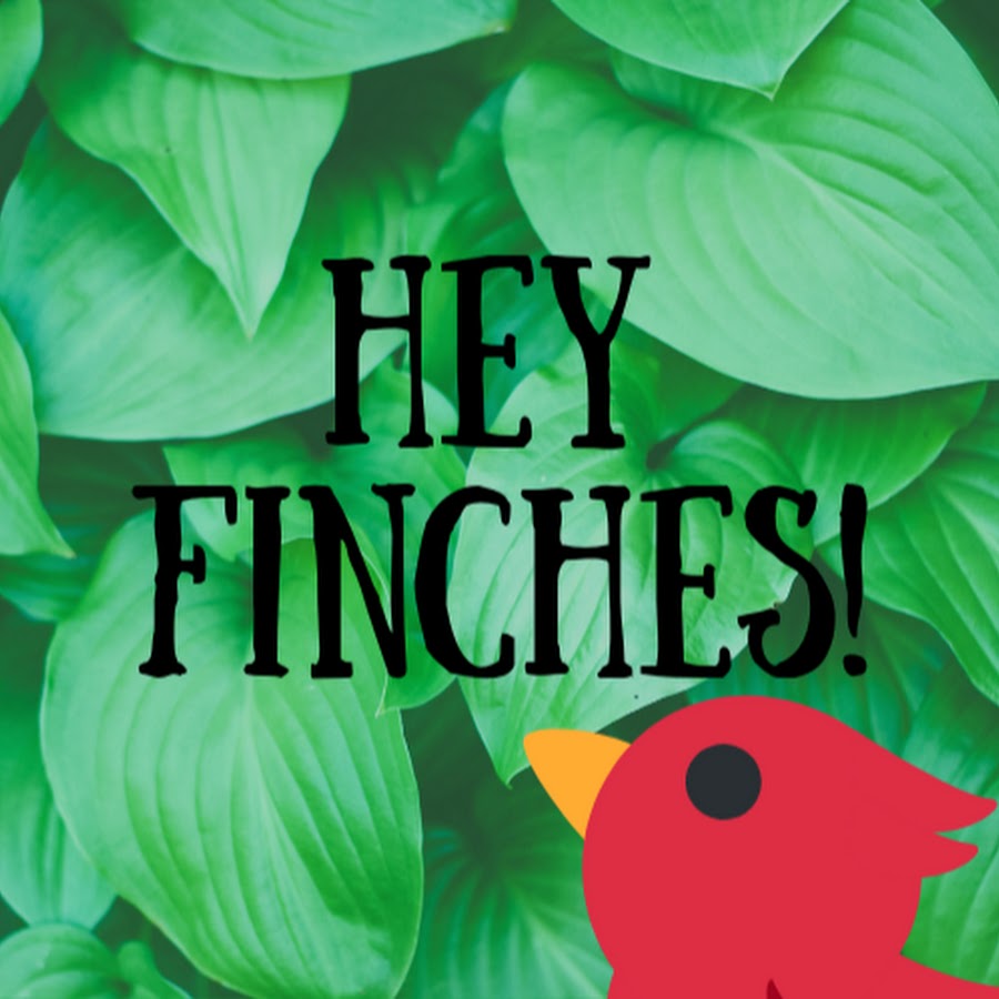 Hey Finches! YouTube channel avatar