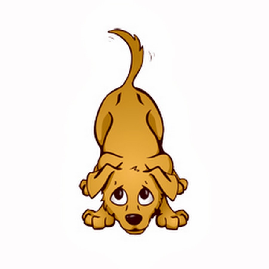 Dog Cancer Blog & Dog Cancer Survival Guide YouTube channel avatar