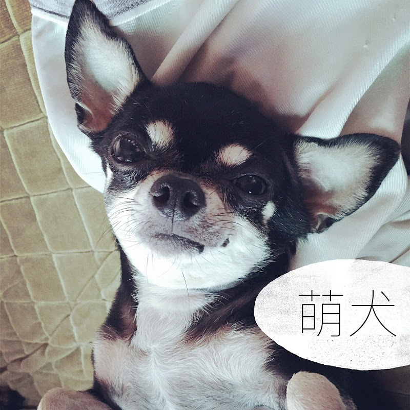 afuuu666 - 網紅的藏寶箱 