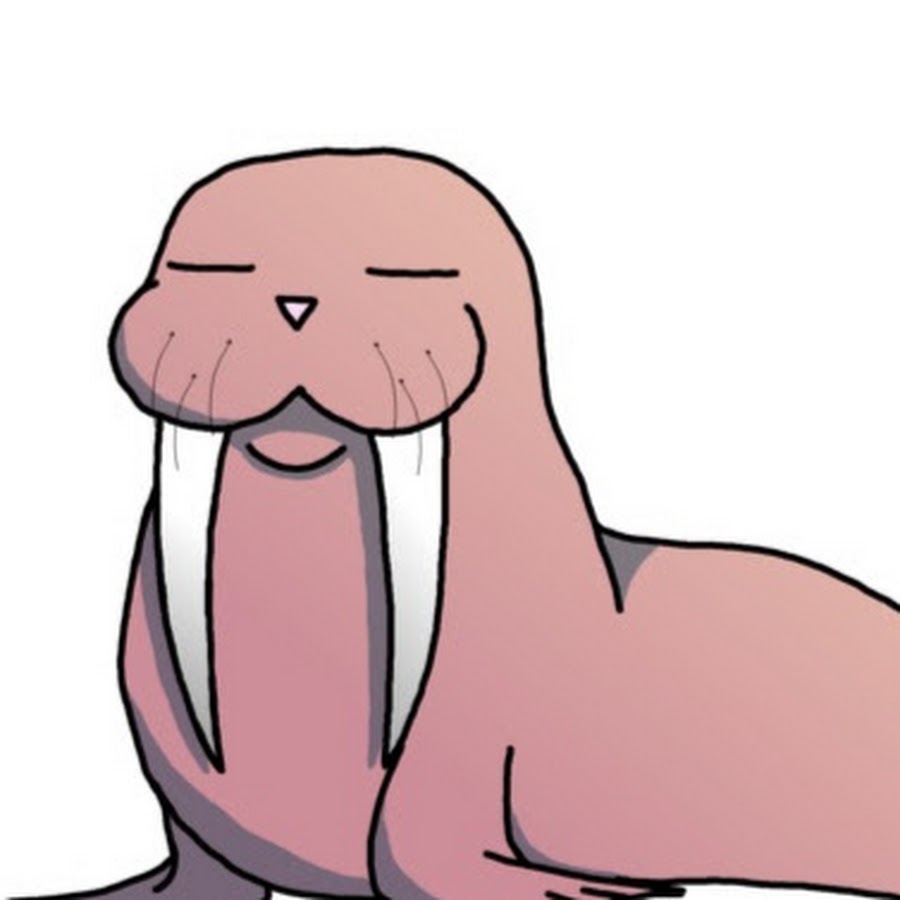 Милый морж рисунок