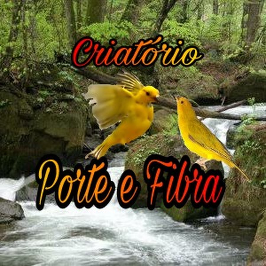 CriatÃ³rio Porte e Fibra YouTube channel avatar