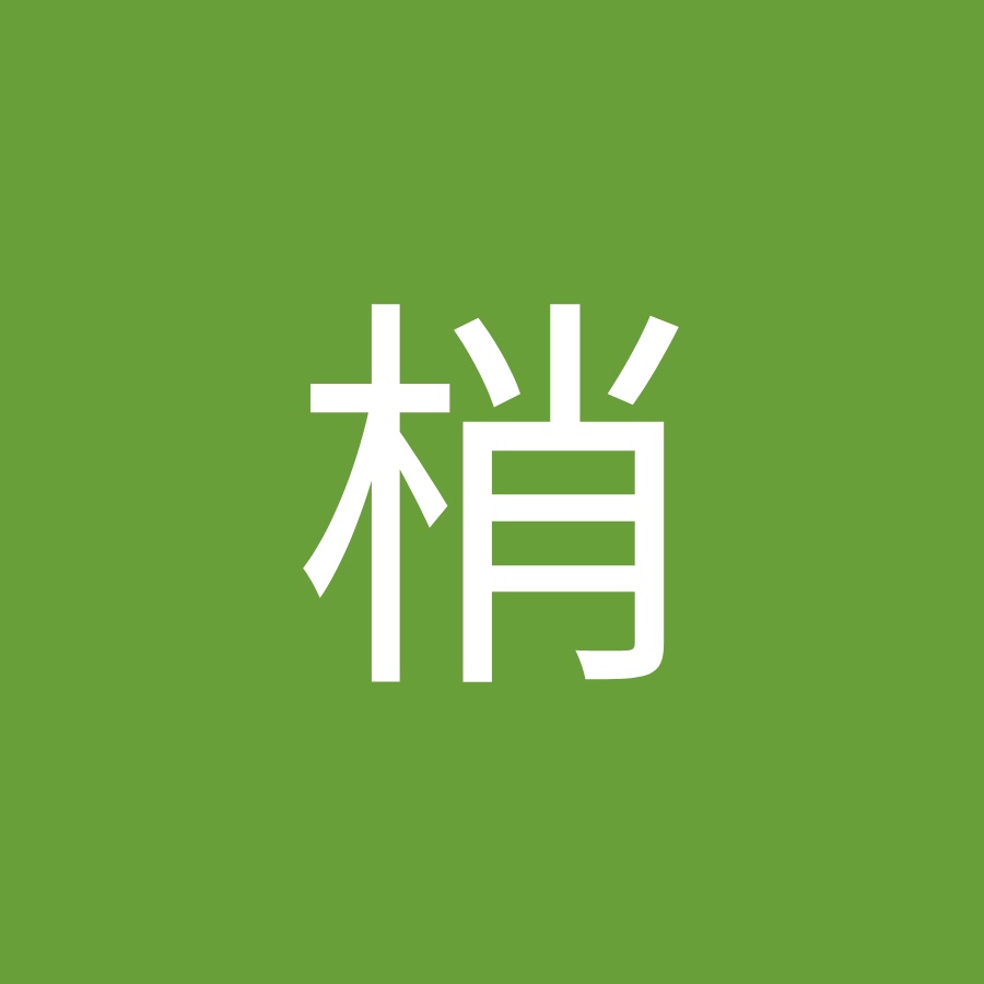 向井梢 Youtube