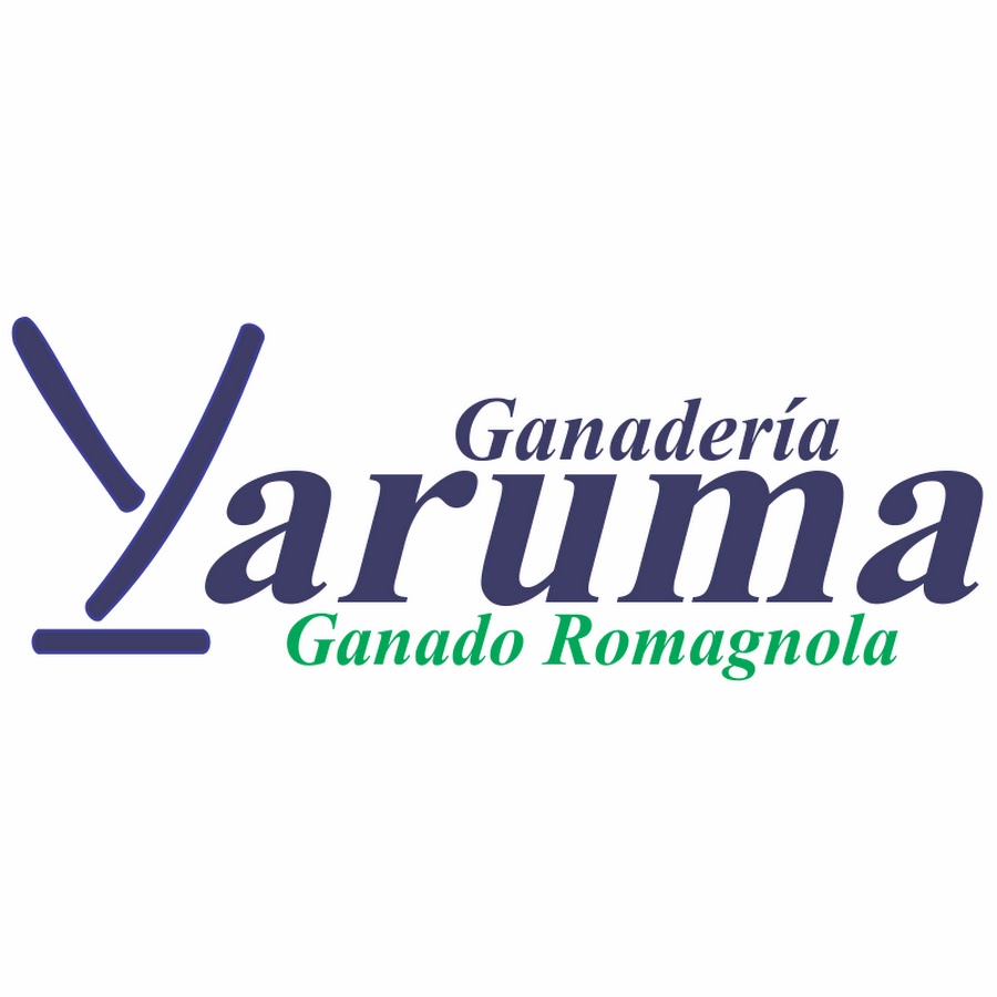 GanaderiaYaruma YouTube channel avatar