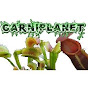 Carniplanet - @Carniplanet YouTube Profile Photo