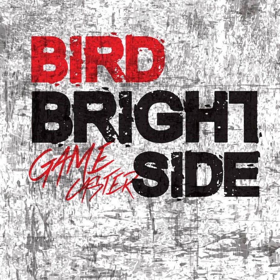 BirdBrightSide यूट्यूब चैनल अवतार