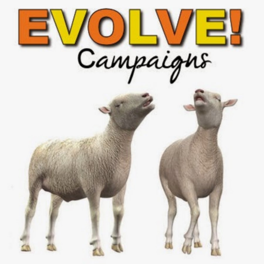 EVOLVE Campaigns YouTube channel avatar