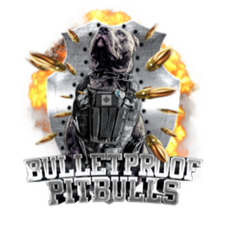 Bulletproof Pitbulls Avatar canale YouTube 
